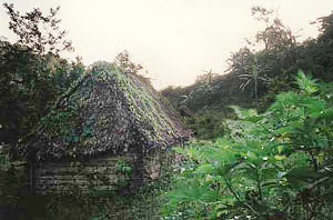 Kogi Hut